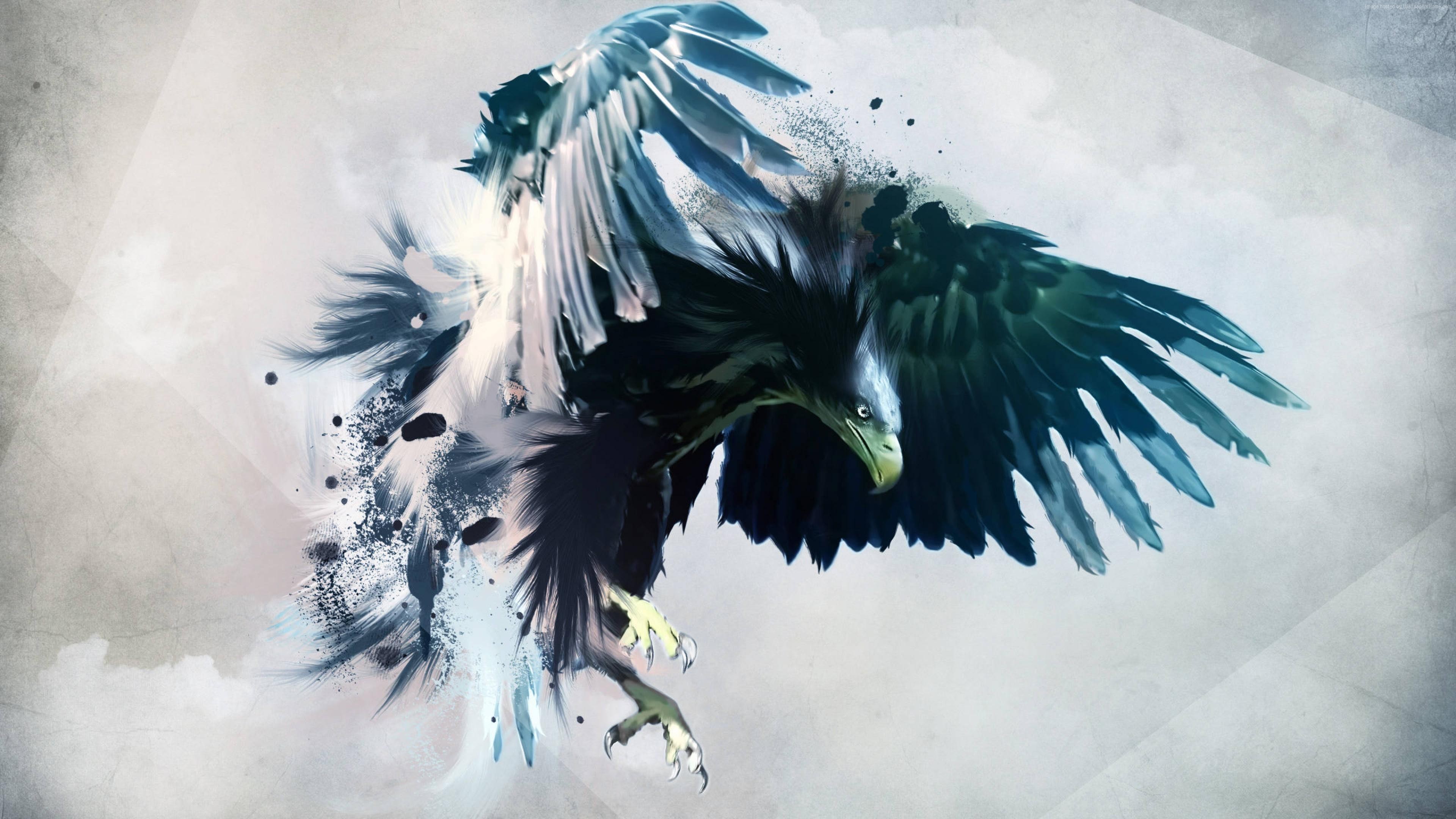 Wallpaper eagle, flight, draft, Animals